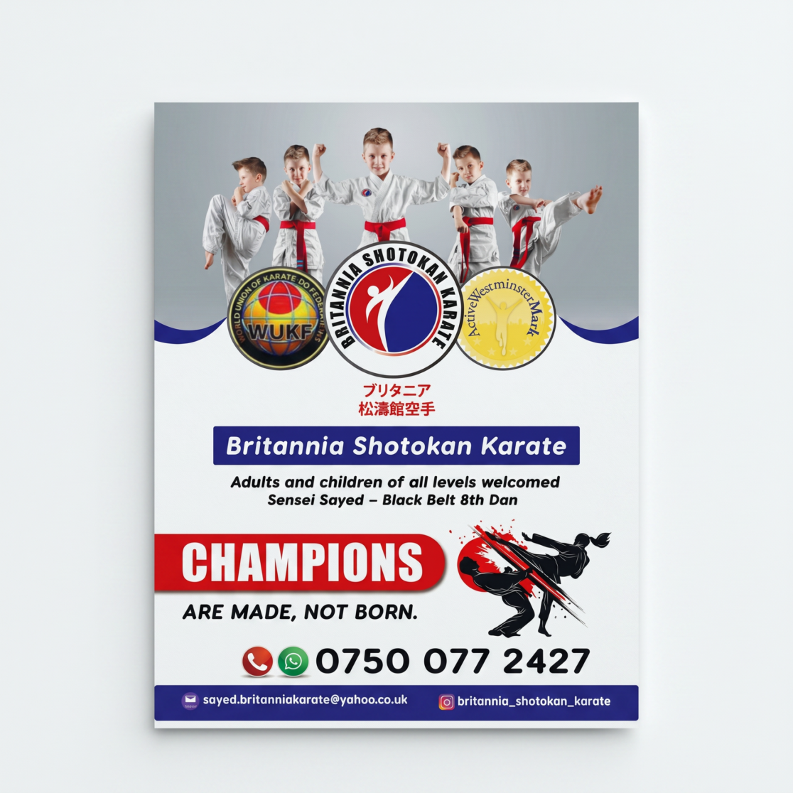 Professional karate flyer design for BB101:C111nia Shotokan Karate featuring modern martial arts branding, promotional advertising layout, premium visual identity, dojo marketing design, and dynamic sports flyer presentation
